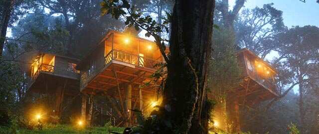 Premium Photo | Theres more to life than watching the tv shot of a group of  teenage girls standing next to a treehouse at summer camp