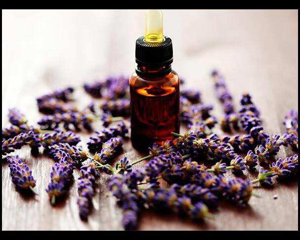 Lavender Oil Might Help You Sleep, but Be Careful Which Essential