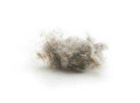 Household Dust Can Decline Iq Level In Children Trigger Respiratory Problems Femina In