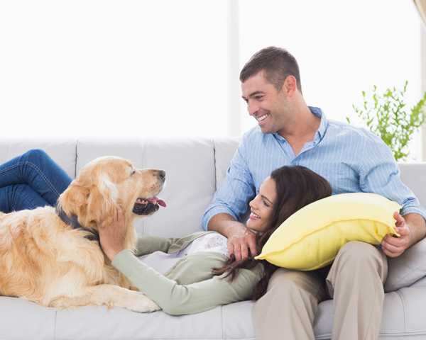 How a pet can improve your relationship | Femina.in