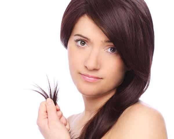 Home Remedies To Get Rid of Split Ends 