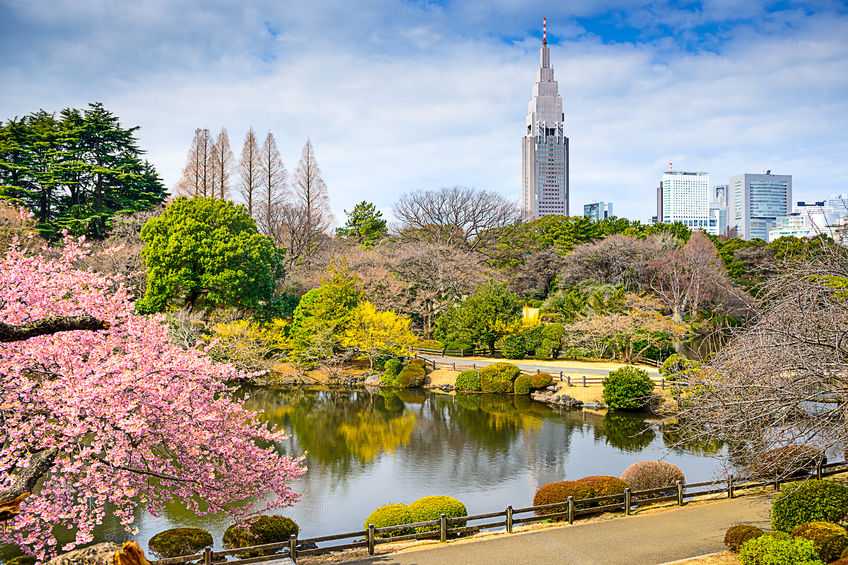 10 Tourist Attractions In Tokyo Japan Femina In