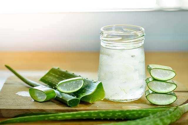 Aloe Vera for hair fall