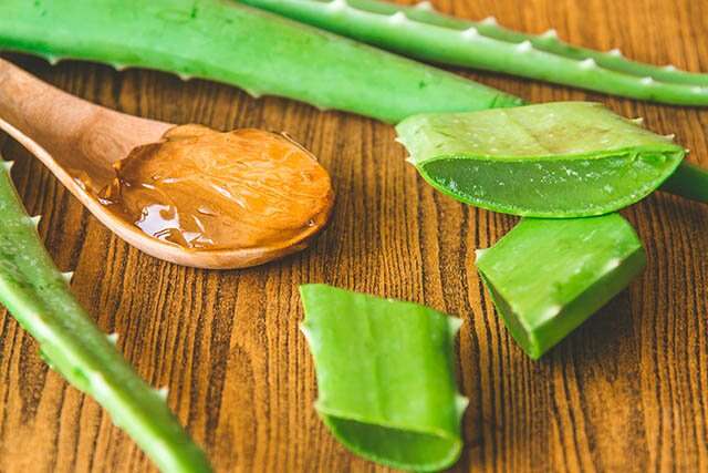 Aloe vera gel to treat stretch marks
