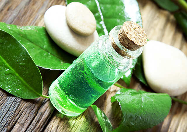 Tea tree oil Tea tree oil