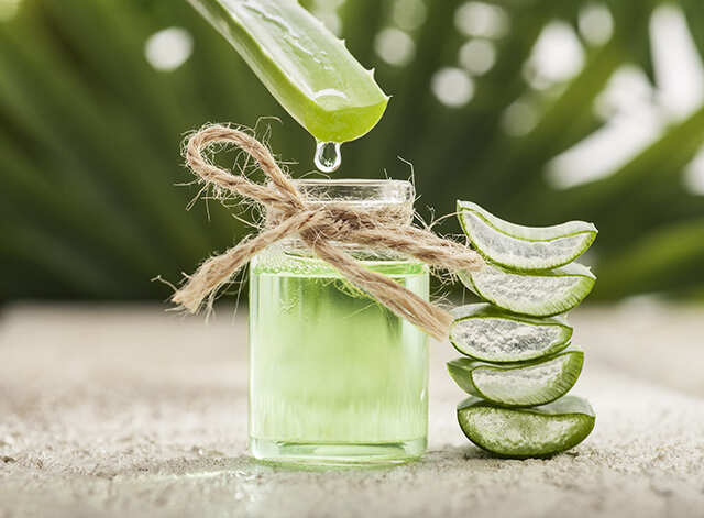 Aloe Vera Aloe Vera