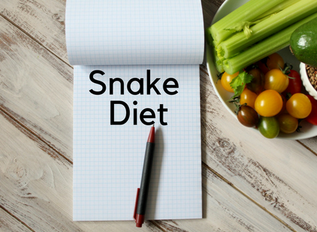 Is snake diet a healthy way to lose weight?