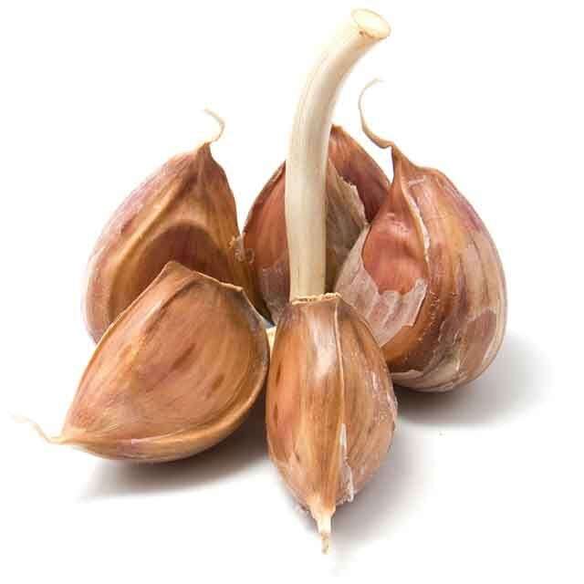 Garlic for fungal infections