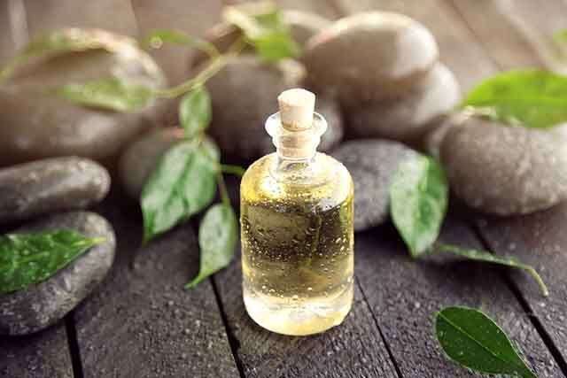 Tea tree oil for fungal infections