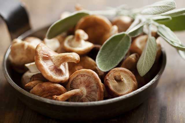 Foods rich in Vitamin B12 Shiitake musrooms