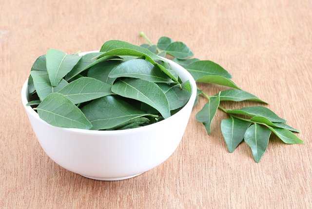 Curry Leaves maintain dark tresses