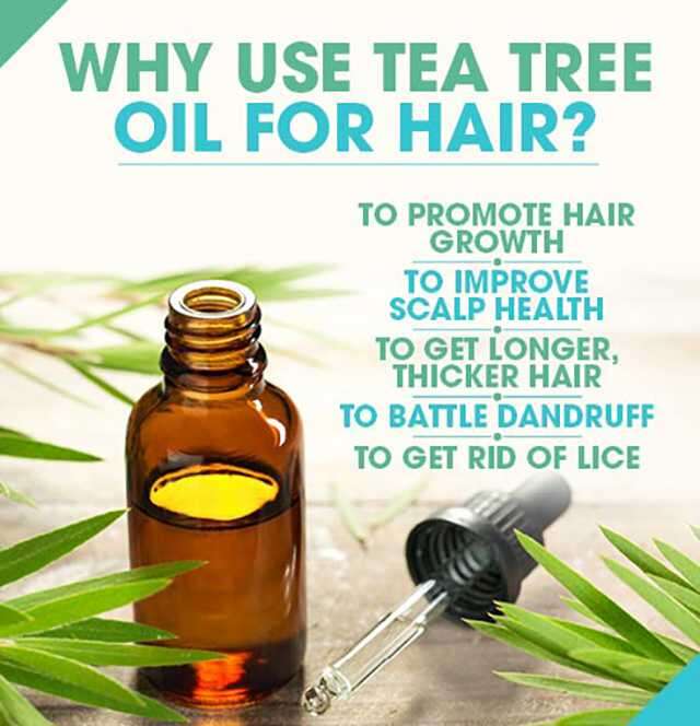 Know the benefits of tea tree oil for hair 