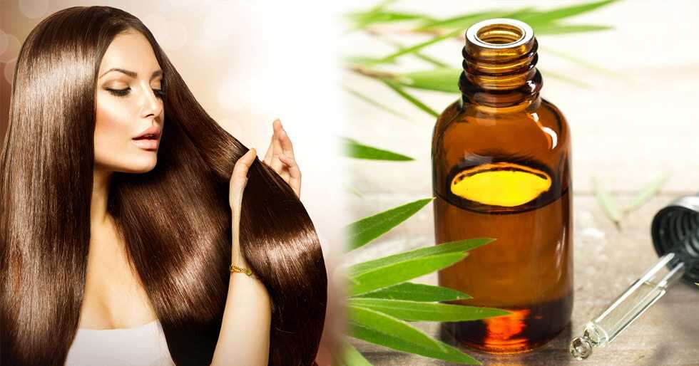 Know the benefits of tea tree oil for hair | Femina.in