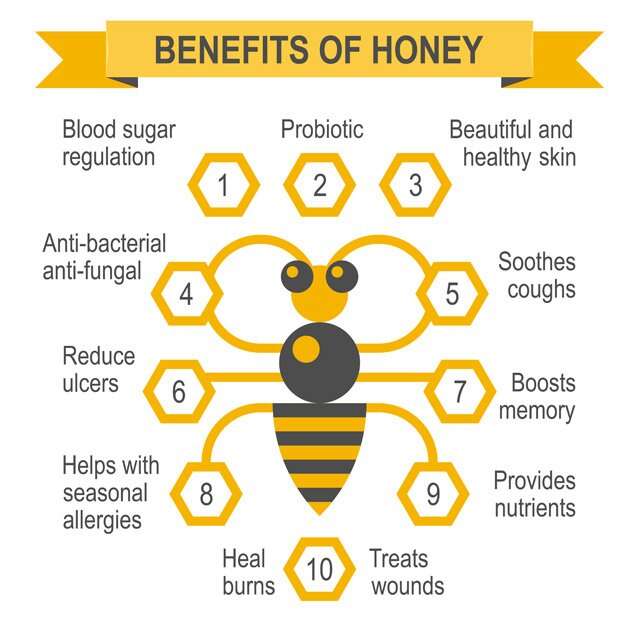 Health Benefits Of Honey Infographic 