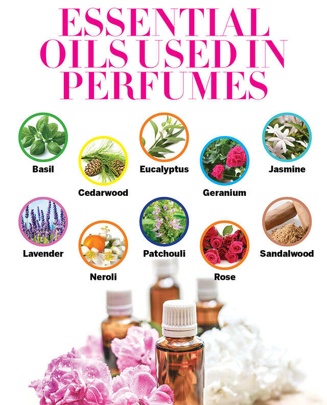 oil perfume names