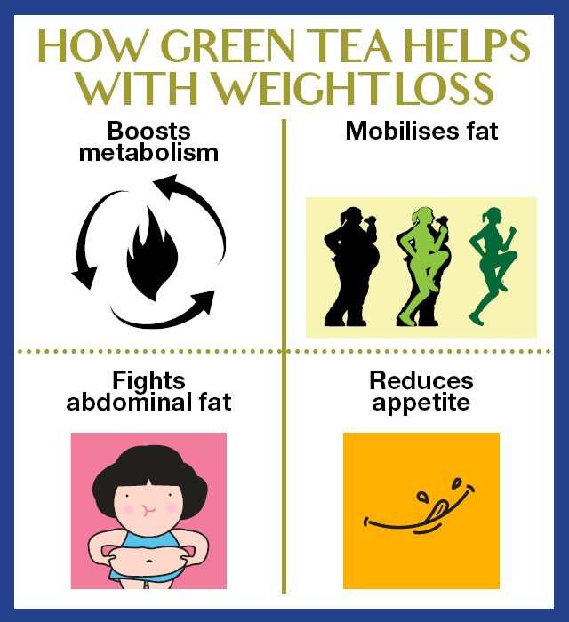 green tea weight loss