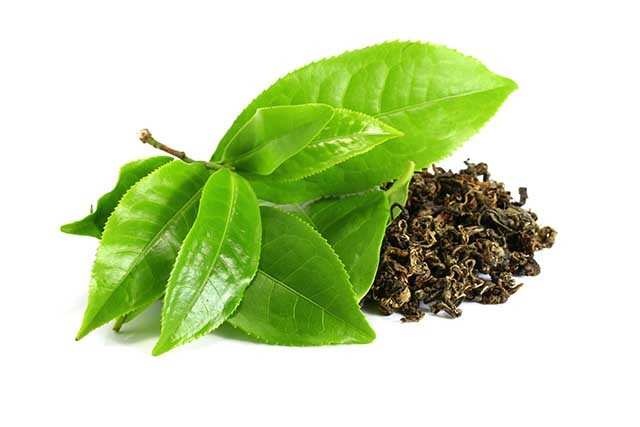 Benefits Of Green Tea For Weight Loss | Femina.in