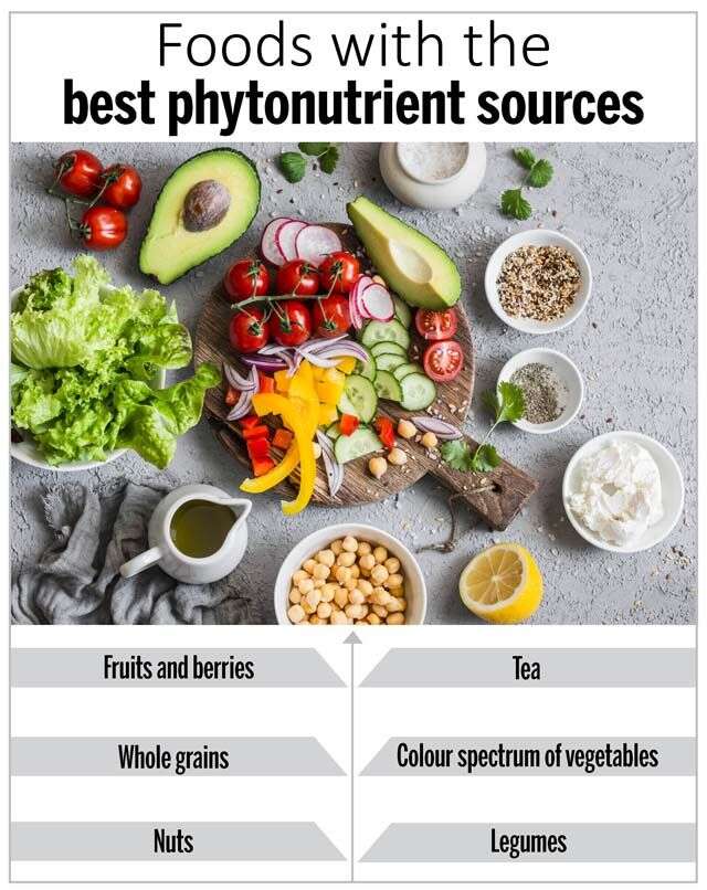 All about phytonutrients  Femina.in