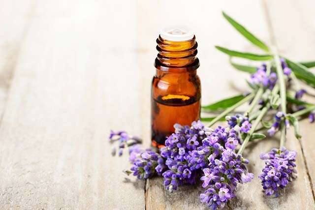 Lavender Oil and Tea Tree Oil to Get Rid Of Facial Hair Permanently