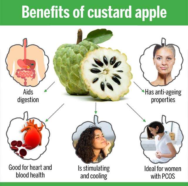 Benefits Of Custard Apple 