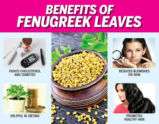 What You Need To Know About Fenugreek Leaves Benefits 