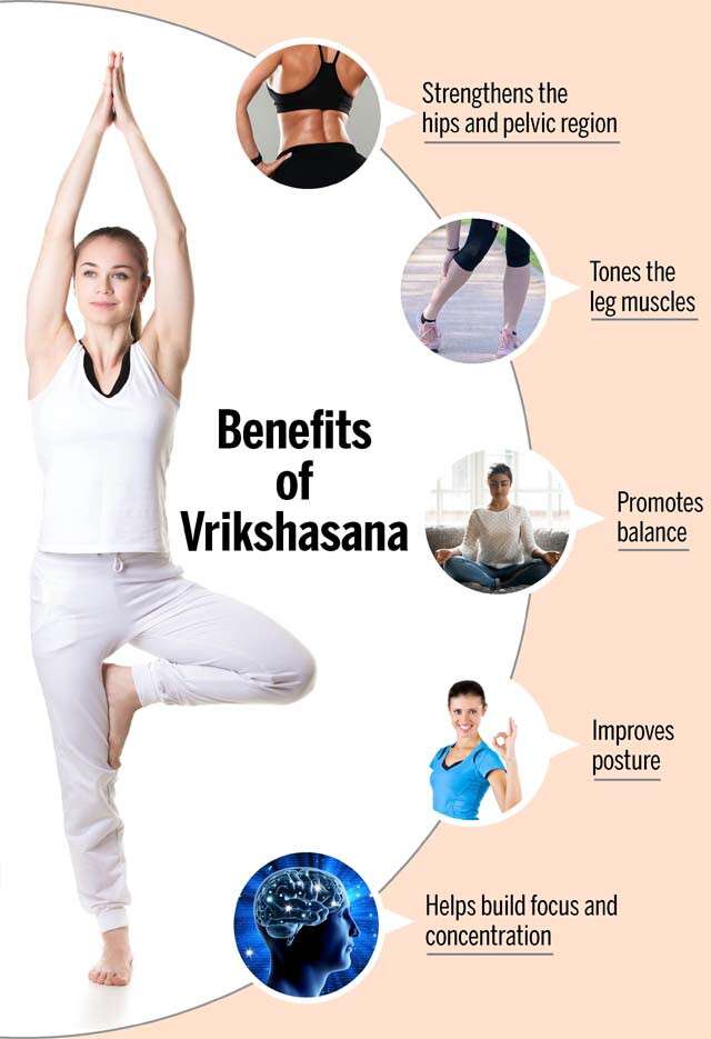 Infographics of yoga pose. Benefits and contraindications of Tree Yoga Pose.  Cartoon style illustration isolated on white background.:: tasmeemME.com