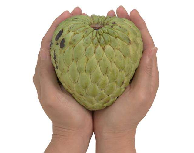 Custard Apples Are Good For Heart Health And Anaemia