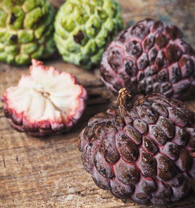 How Did The Custard Apple Get Its Name