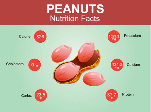 Peanut Nutrition Facts Infographics