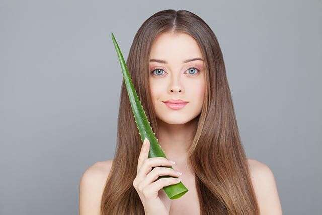 Aloe Vera for Hair has Immense Benefits for Scalp and Hair Health