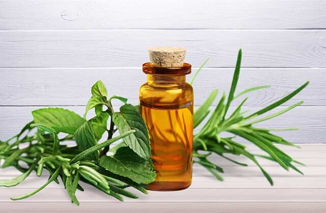 Benefits and Uses of Tea Tree Oil for Hair | Femina.in