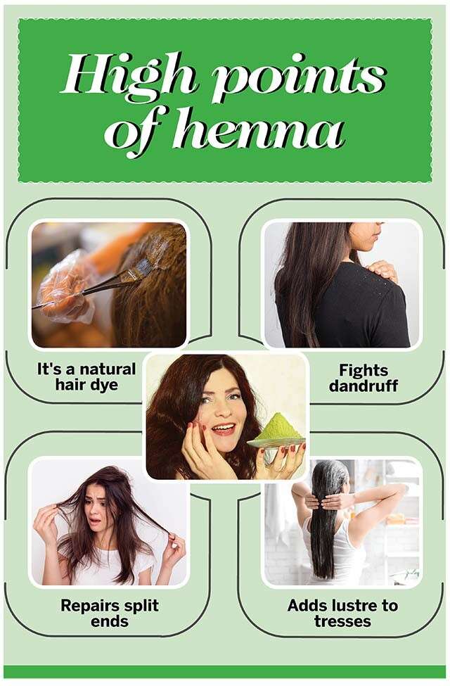 Henna for Hair - Mehndi & Powder of Henna at Best Price
