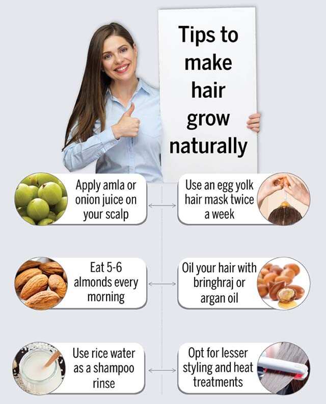 Discover More Than 76 Natural Food For Hair Growth Latest Vova edu vn