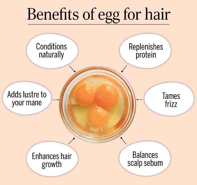 Egg yolk for hair: Benefits and how to use it