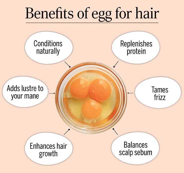 Healthy Hair Do Eggs Aid In Hair Growth