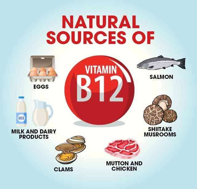 B 12 vitamin foods