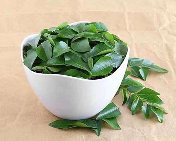 Spag Herbals Organic Tulasi Curry Leaves  Mint Powder  SPAG HERBALS