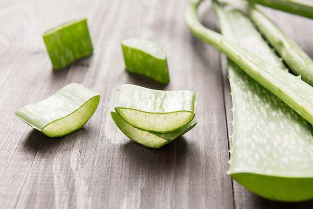 Aloe Vera for Mouth Ulcers