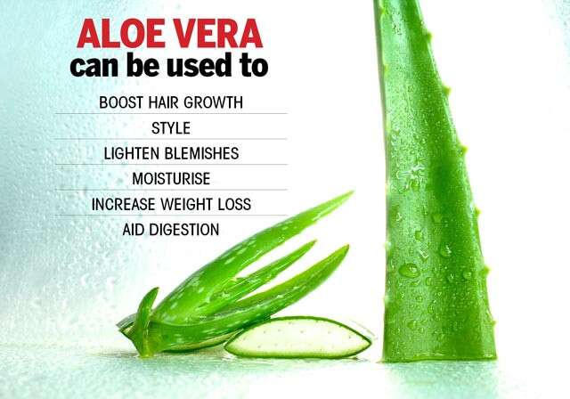 Aloe Vera Gel For hair: 5 Major Benefits at Night -