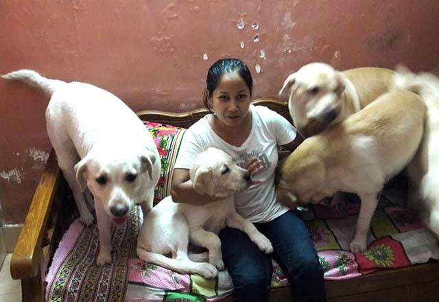 Meet These Kolkata Crusaders Who Are Fighting Odds To Feed Stray Animals |  