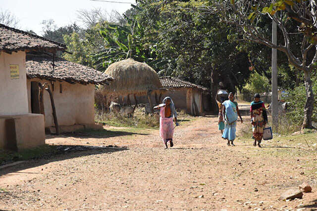 Chhattisgarh’s Tribal Women Vigilante Patrol To Save Forest Cover ...