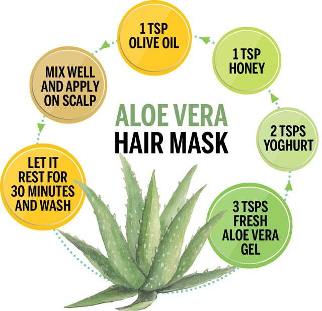 DIY Aloe Vera Hair Masks