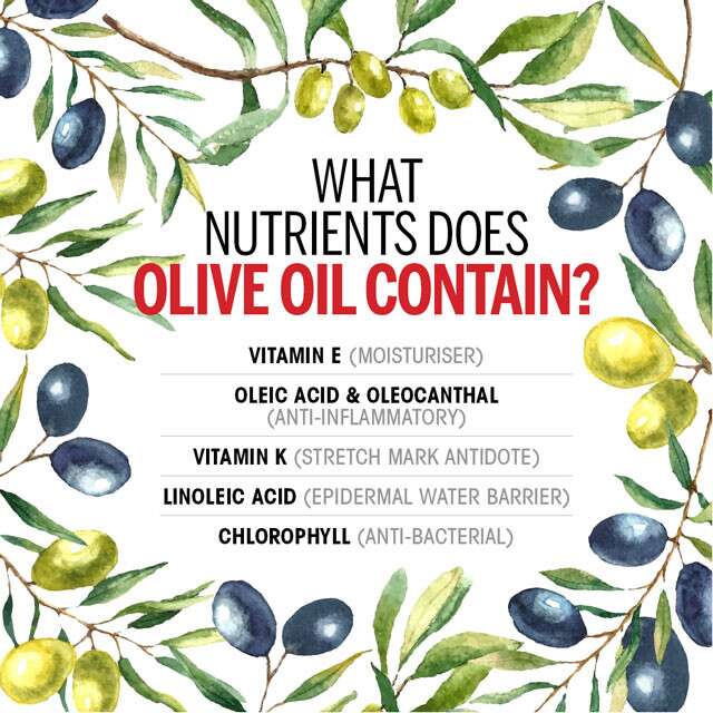 What Nutrients Does Olive Oil Contain