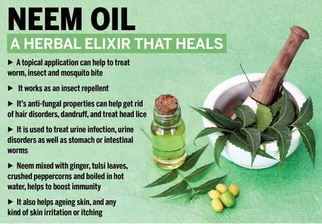 Top 48 Image Neem Oil For The Hair Thptnganamst Edu Vn   Benefits Of Neem Oil For Hair Infographic 1595335361 