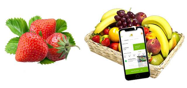 Early 'N' Fresh - Delivering fresh fruits and vegetables to your doorstep