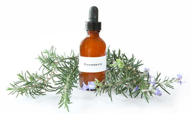 10 Benefits and Uses of Rosemary Oil