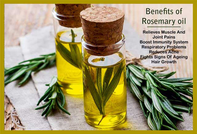 What Is Rosemary?