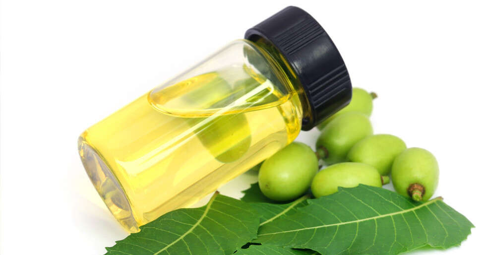 Neem Oil For Skin Is A Beauty Boon Femina.in