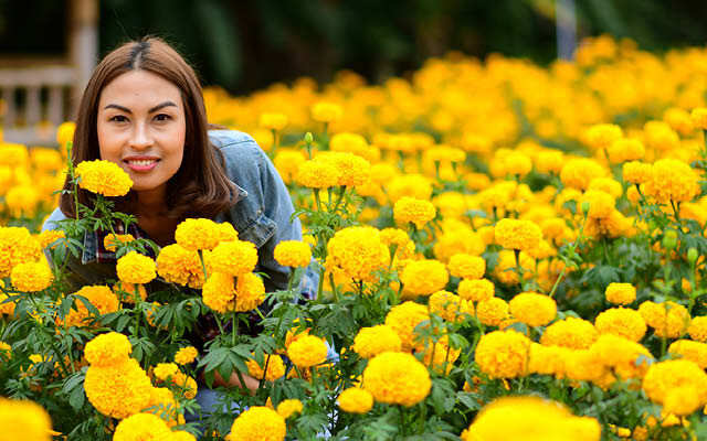 මල් අලංකාරය