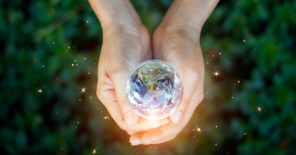 #WorldEnvironmentDay: Our Food Choices Affect The Environment - Vimarsana News